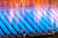 Asheridge gas fired boilers